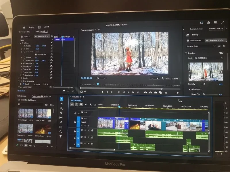Premiere Pro timeline assembling the WitchLight scenes, with Lumetri colour grading on a snowy forest shot